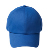 Slvr Basi Cap